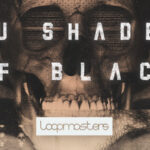 Featured image for “Loopmasters released Nu Shades Of Black”