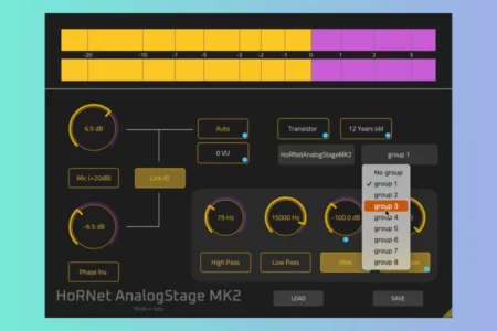 Featured image for “HoRNet released AnalogStage MK2”